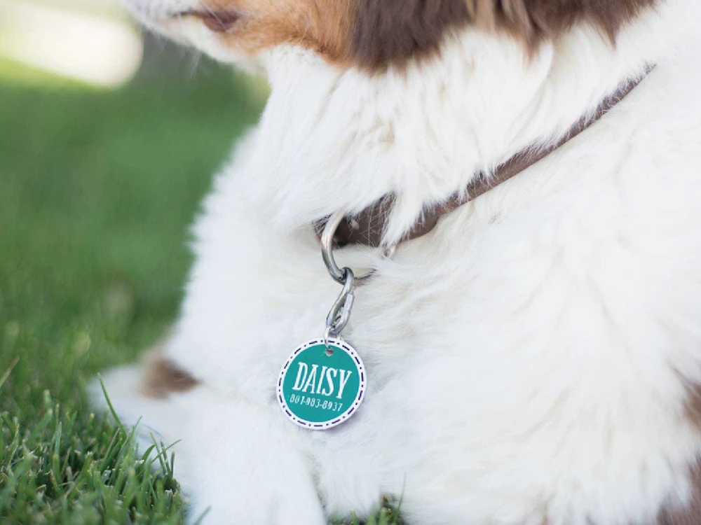 うちの子グッズって何が作れるの？初心者でもできたアイデア5選