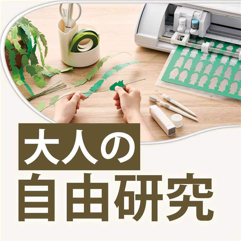 大人の自由研究